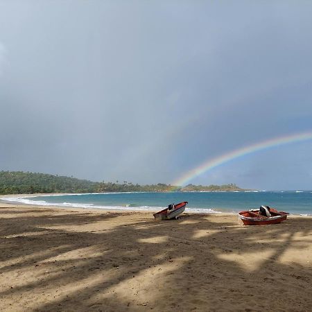 Bed and Breakfast Cabana Playa Cambiaso Puerto Plata Exterior foto
